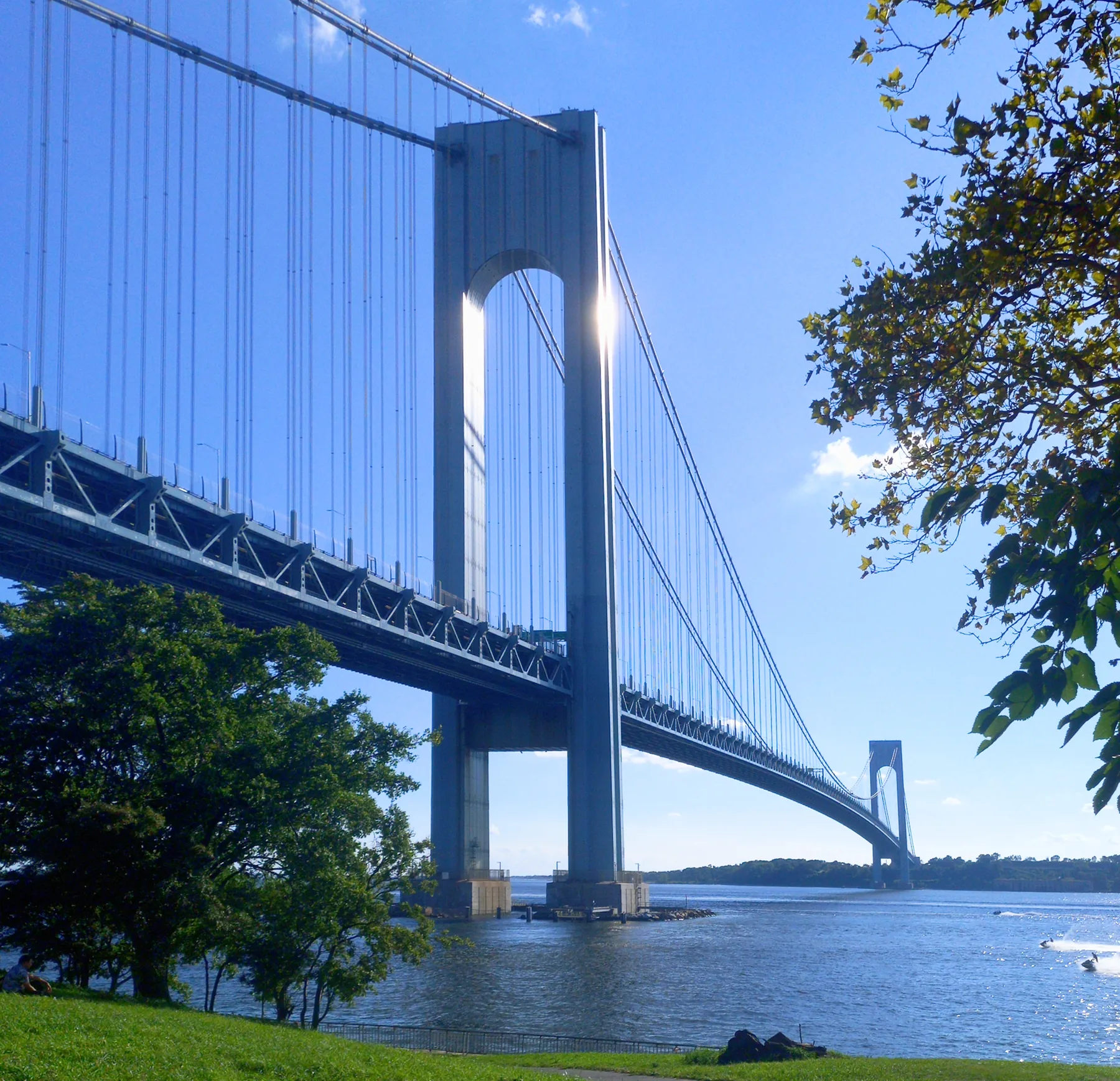 The Verrazzano-Narrows Bridge framed by trees beside New York Harbor